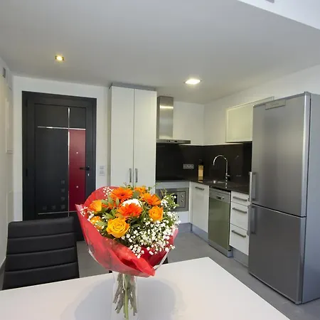 Inmosantos Nuria Apartment Roses